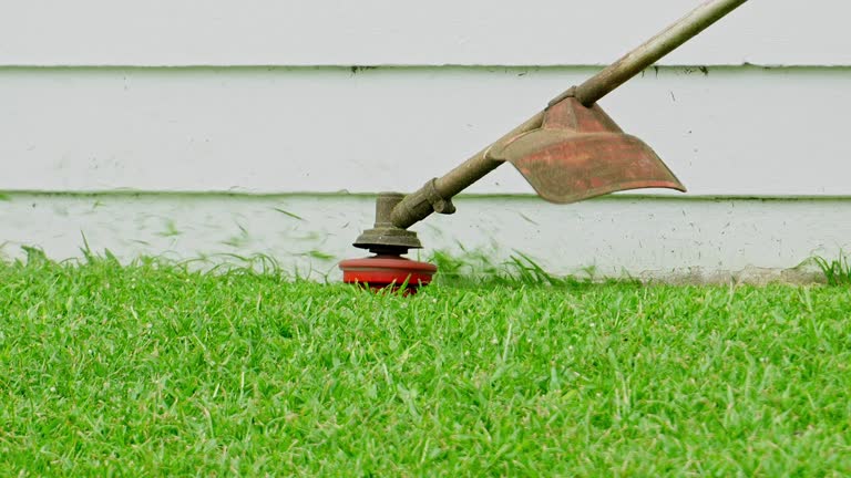 Best Lawn Irrigation Installation and Maintenance  in Wagon Wheel, AZ